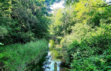 Vadaskerti csatorna, Hédervár (4)