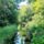 Vadaskerti_csatorna_hedervar_4_2192970_7661_t