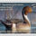 Vadaszati_engedely_2192572_5398_t