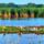 Vadludak_a_holtduna_morotva_uszolapjan_lipot_2192835_6068_t