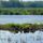 Vadludak_es_vadkacsak_a_holtduna_morotva_uszolapjan__lipot_2192836_6094_t