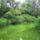 Zoldben_a_kek_folyoso_az_oregszigeti_belso_to_ravezeto_csatornaja_kisbodak_2192545_1437_t