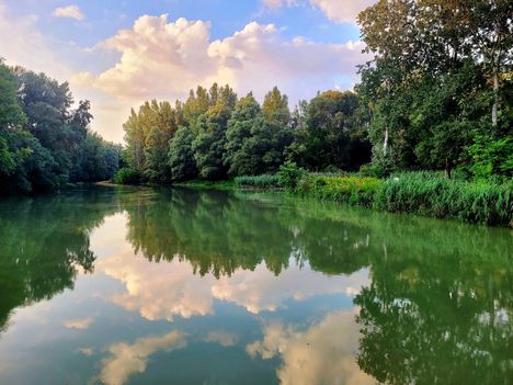 A Kisvesszősi Duna-ág, Kisbodak 1