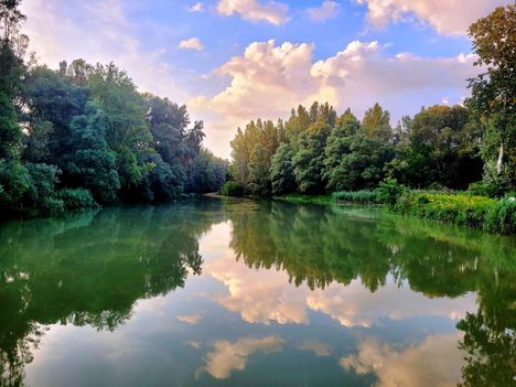 A Kisvesszősi Duna-ág, Kisbodak