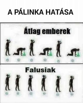 A pálinka hatása !