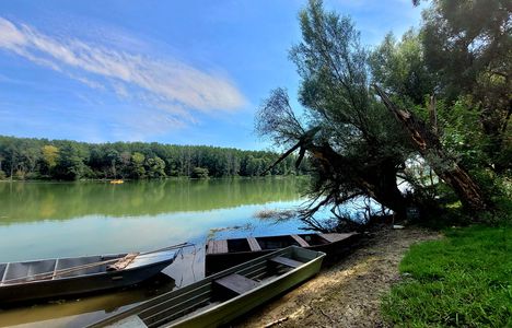 A revitalizált Ásványi Duna-ág, Ásványráró 2