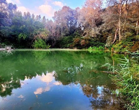 A szigetközi Feneketlen tó, Kisbodak