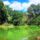 A_szigetkozi_feneketlen_to_kisbodak_20240729en_2193336_5489_t