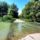 Arapaszto_surranto_az_oregszigeti_dunaagon_kisbodak_3_2193054_6393_t