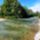 Arapaszto_surranto_az_oregszigeti_dunaagon_kisbodak_4_2193055_9611_t
