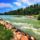 Az_asvanyi_fenekkuszob_megcsapolo_resze_asvanyraro_2193029_6545_t