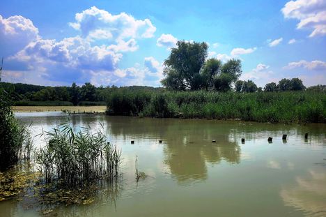 Az Öntés sziget belsejében lévő Öntési tó