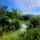 Jonasi_halatjaro_a_kovacs_pihenteto_tonal_rajka_2_2193582_4343_t