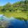 Jonasi_halatjaro_a_kovacs_pihenteto_tonal_rajka_3_2193583_1998_t