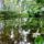 Regi_dunaag_a_zatonyiduna_dunasziget_cikolasziget-001_2193324_8742_t