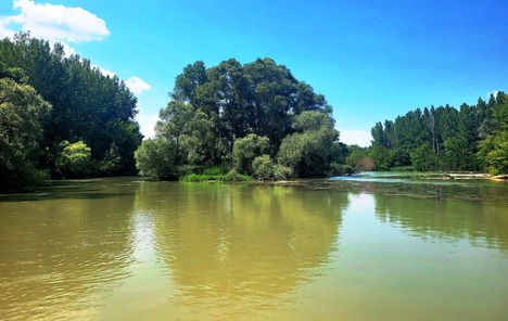 Sziget az Iparosi Duna-ágon, Lipót