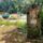 Szigetkoz_szent_kristof_szobor_es_hid_kisbodak-001_2193181_4274_t