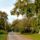 Kolcsey_utca_egy_resze_2024_szeptember_2194253_8249_t