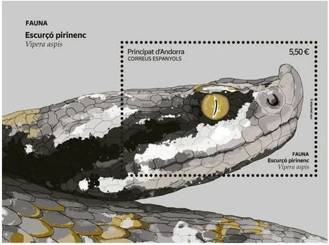 Pireneusi vipera