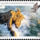 Termeszeti_es_taji_orokseg-001_2194136_5082_t