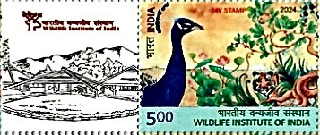 Wildlife Institute of India