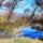 Kalacsi_dunaag_gyorzamoly_2_2195125_3321_t
