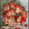 Kellemes_hetveget_szep_napot_kivanok_2195078_4019_s