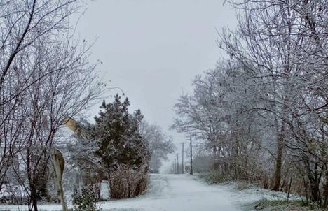 Kónyi tél. 2024. december 6.
