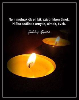 Adjon az Úr örök nyugodalmat Nekik és az örök világosság fényeskedjék nekik! Ámen
