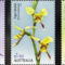 Bennszulott_orchideak_2196128_7922_s