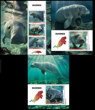 Dugong