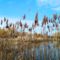 Kerekto_szabadido_kozpont_to_2025_februar_10_2196550_3254_s