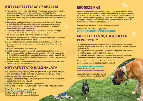 Kisokos kutyatartóknak - a gazdi és a kutya közösségben