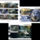 Krokodilok-001_2196609_1021_t
