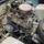 Skoda_ferat_foto_laszlo_ferenc_10_2196595_5330_t