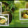 Durian_gyumolcs_2197684_4491_t