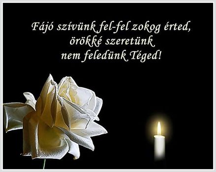 emlekezzunk_szeretteinkre__mindenkiert_egy_egy_gyertya_egjen_2196840_2410_n
