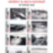 Hollandiatol_indoneziaig_2197722_1662_s