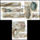 Kagylok_es_csigak_2197058_9875_t