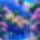 Kepek6_5_2197984_3962_t