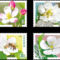 Orchideak_2197855_7970_s