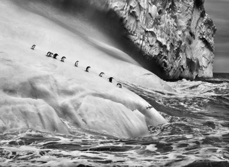 Sebastião Salgado - South Sandwich Islands (2009.)