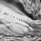 Sebastio_salgado__south_sandwich_islands_2009_2197067_1512_s