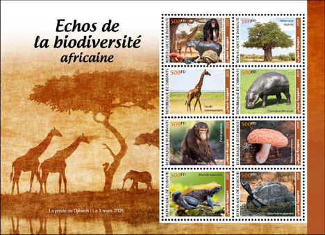 Afrikai biodiverzitás
