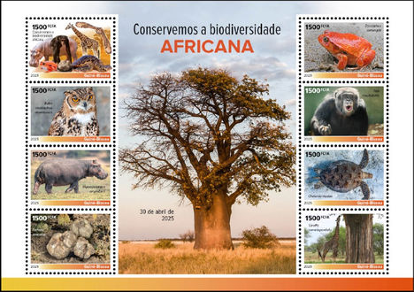 Afrikai biodiverzitás