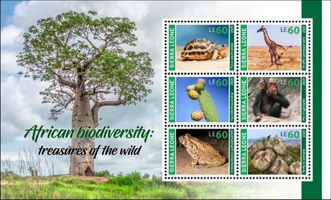 Afrikai biodiverzitás