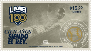 Baseball liga