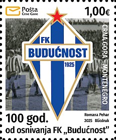 Buducnost FC