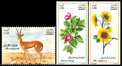Fauna és flóra