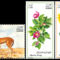 Fauna_es_flora_2198414_3479_s